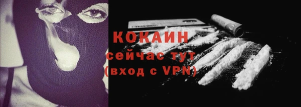 Альфа ПВП Богородск