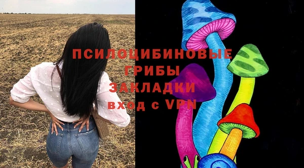 Альфа ПВП Богородск