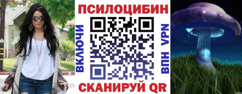 Купить где  Навашино  Псилоцибиновые грибы Magic Shrooms 